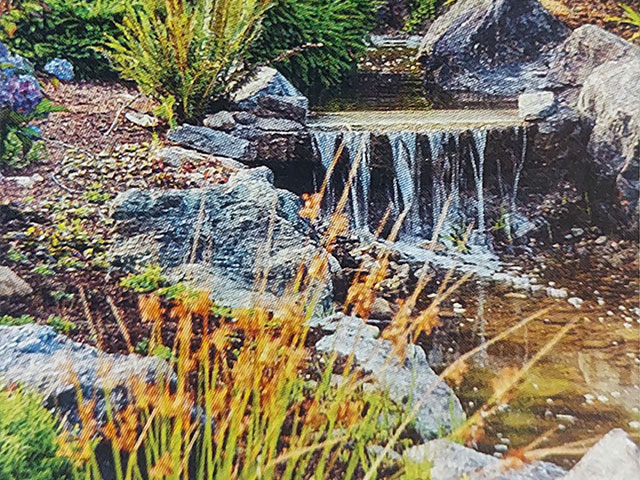 Ponds & Waterfalls